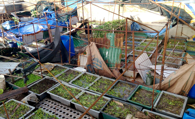 Đảo Trường Sa ngổn ngang sau bão Tembin